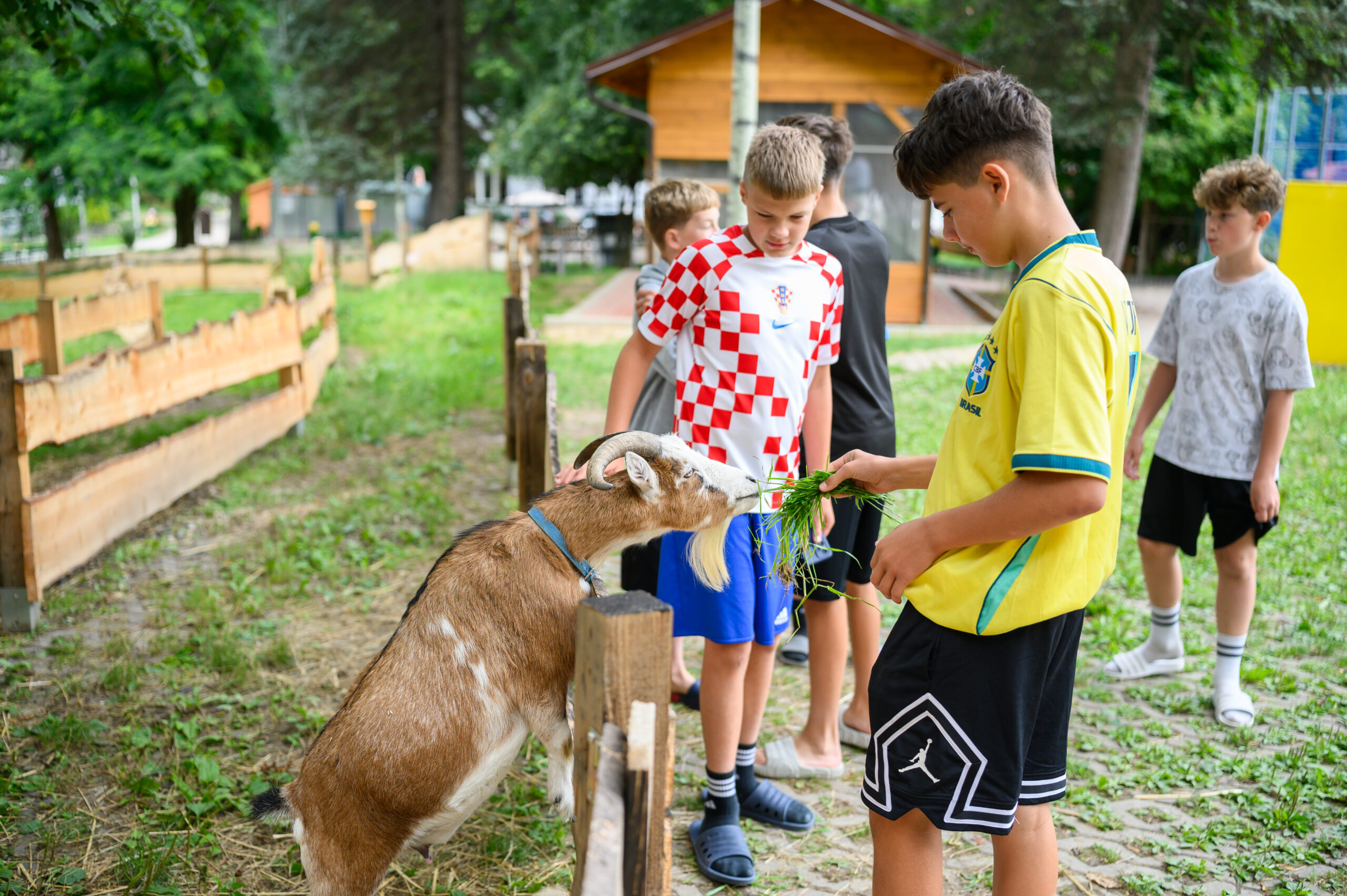 Uczestnicy pobytu odwiedzający mini zoo